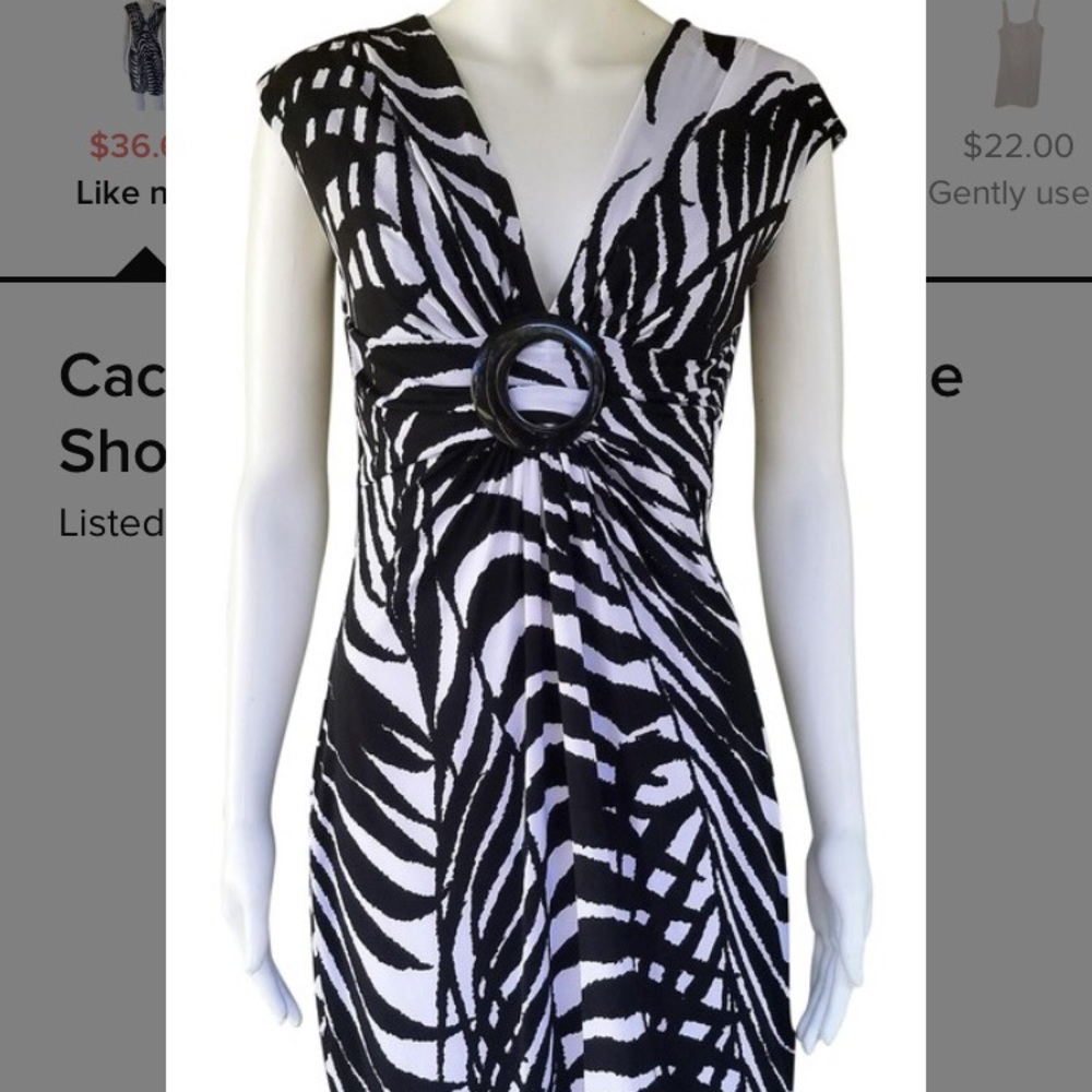 Silky Zebra Print Dress